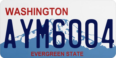 WA license plate AYM6004