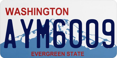 WA license plate AYM6009