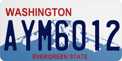 WA license plate AYM6012