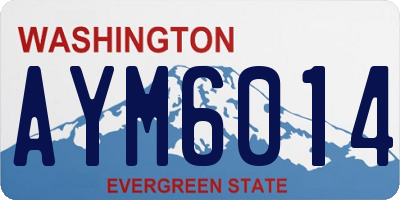 WA license plate AYM6014