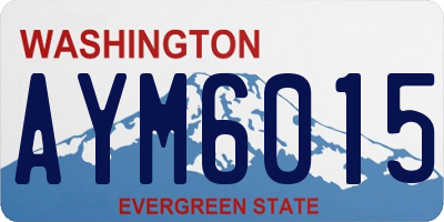 WA license plate AYM6015
