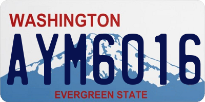 WA license plate AYM6016
