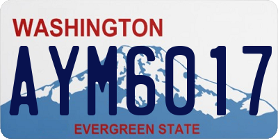 WA license plate AYM6017