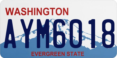 WA license plate AYM6018