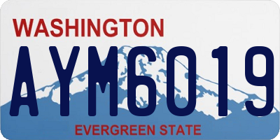 WA license plate AYM6019