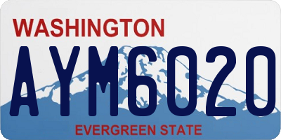 WA license plate AYM6020