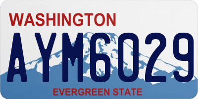 WA license plate AYM6029