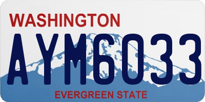 WA license plate AYM6033