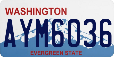 WA license plate AYM6036