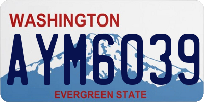 WA license plate AYM6039