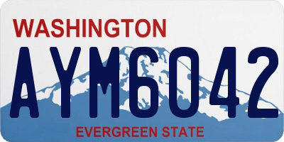 WA license plate AYM6042