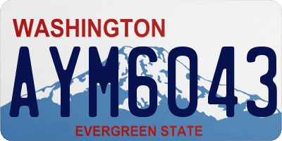 WA license plate AYM6043