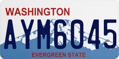 WA license plate AYM6045