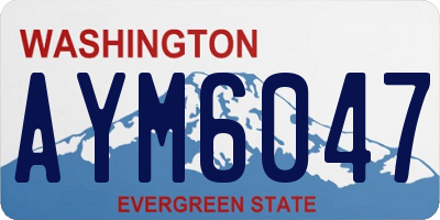 WA license plate AYM6047