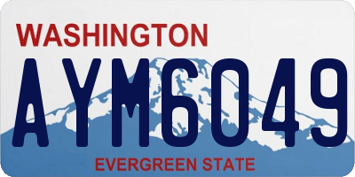 WA license plate AYM6049