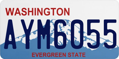 WA license plate AYM6055