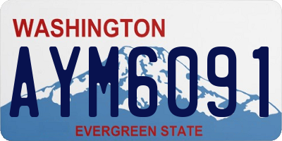 WA license plate AYM6091
