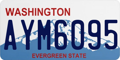 WA license plate AYM6095