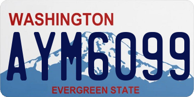 WA license plate AYM6099