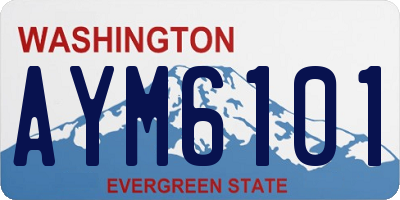 WA license plate AYM6101