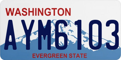 WA license plate AYM6103
