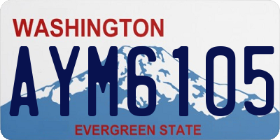 WA license plate AYM6105