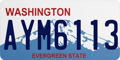 WA license plate AYM6113