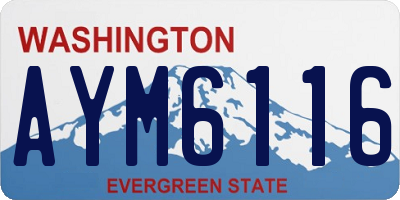 WA license plate AYM6116