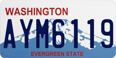 WA license plate AYM6119