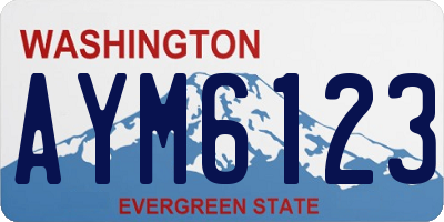 WA license plate AYM6123