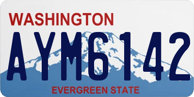 WA license plate AYM6142