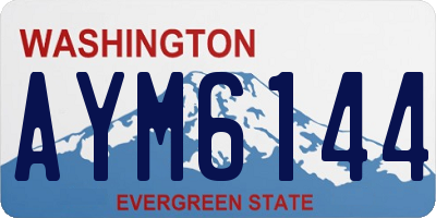 WA license plate AYM6144