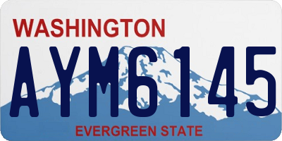 WA license plate AYM6145