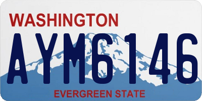 WA license plate AYM6146