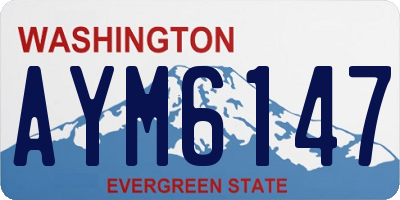 WA license plate AYM6147