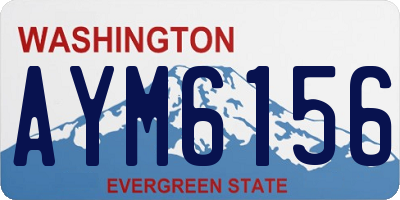 WA license plate AYM6156