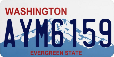 WA license plate AYM6159