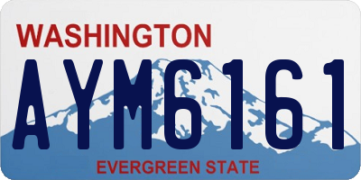 WA license plate AYM6161