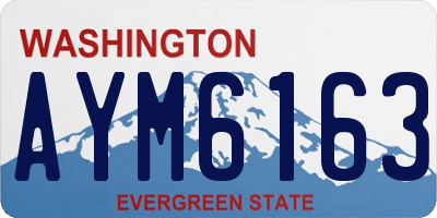 WA license plate AYM6163