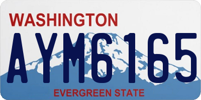 WA license plate AYM6165