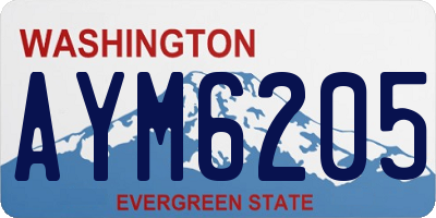 WA license plate AYM6205