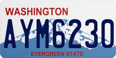 WA license plate AYM6230