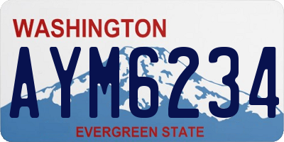 WA license plate AYM6234