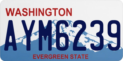 WA license plate AYM6239