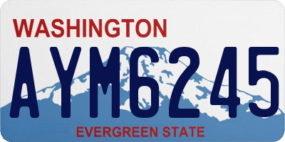 WA license plate AYM6245