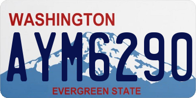WA license plate AYM6290
