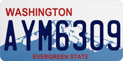 WA license plate AYM6309