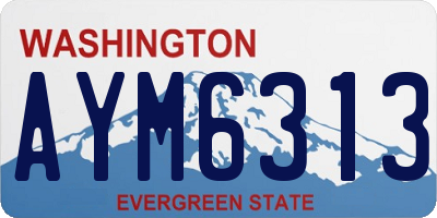 WA license plate AYM6313