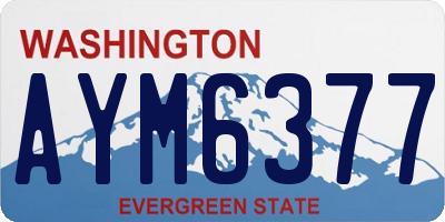 WA license plate AYM6377