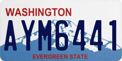 WA license plate AYM6441